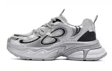 EBLAN Low Top Sneakers Silver