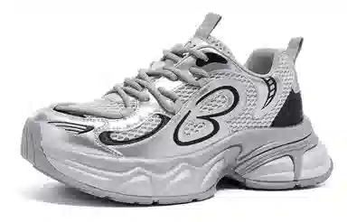 EBLAN Low Top Sneakers Silver