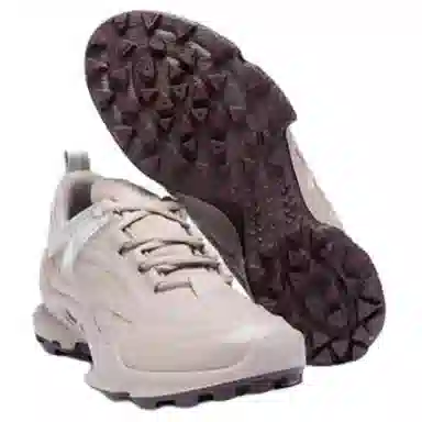 Ecco Biom C Trail