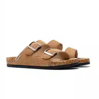 Mule Donkey Desert Brown