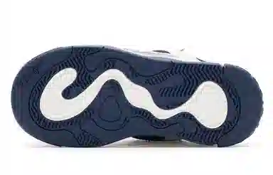 Champion AutoSkate V1