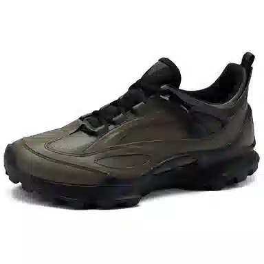 Ecco Biom C Trail