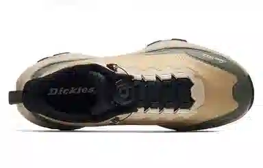Dickies Low Top Running Shoes Brown Green