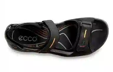 Ecco Sandals