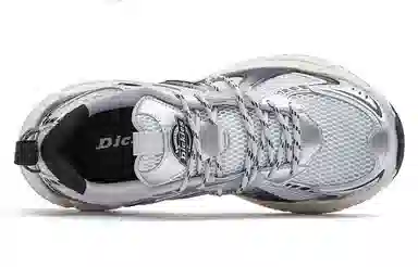 Dickies Retro Low Silver