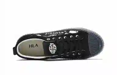 HLA 2024