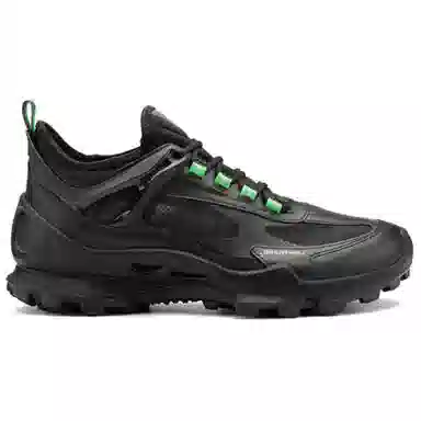 Ecco Biom C Trail