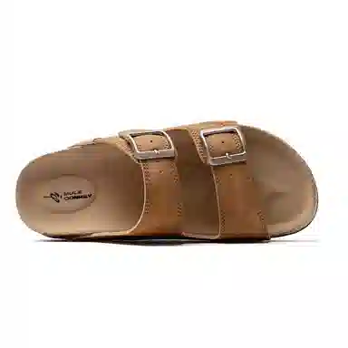 Mule Donkey Desert Brown