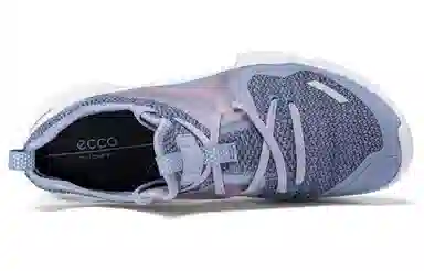Ecco Biom C Trail Lavender