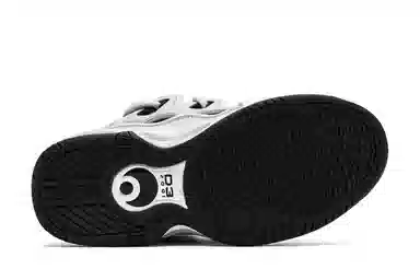 Osiris D3 Iceberg Grey