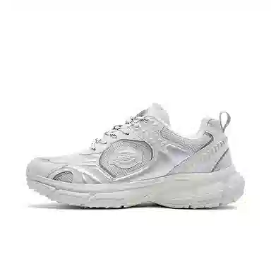 Dickies Low Top Dad Shoes Soft Gray