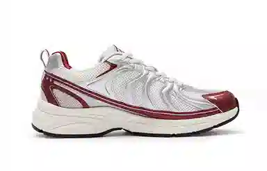 Champion Retro Sports