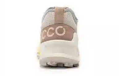 ecco 2.1