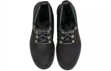 CAT Colorado Lyric E