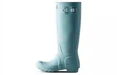 Hunter Wellington Boots