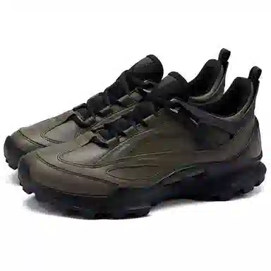 Ecco Biom C Trail