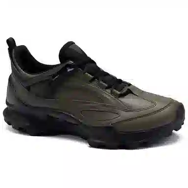 Ecco Biom C Trail