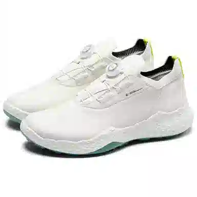 ecco GOLF BIOM H5