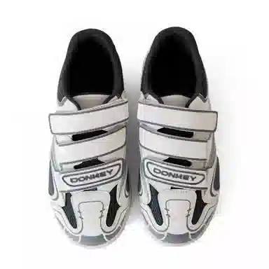 Mule Donkey Mule Donkey