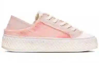 Dickies 100th Anniversary Pink Star