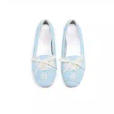 Lost in Echo Ballet Flats