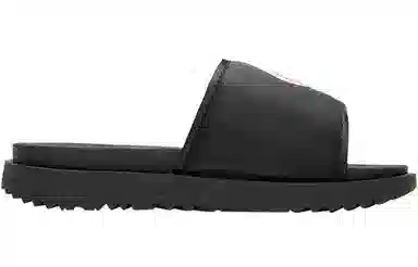 Champion Campus Slide 1919 -CLogo