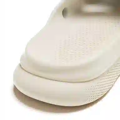 HelloSlippers T-Rex Fossil