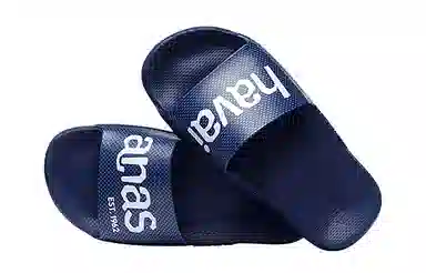 Havaianas Logomania