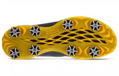 Ecco Golf Shoes