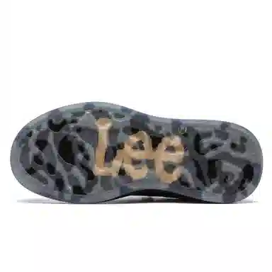 Lee