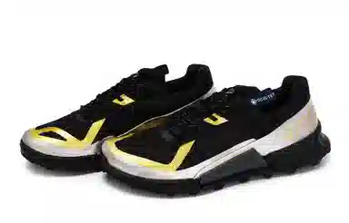 ecco BIOM 2.1 X COUNTRY 811