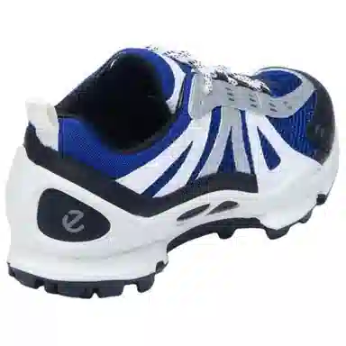 Ecco Biom C Trail