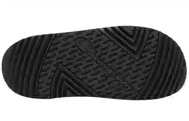 Champion Campus Slide 1919 -CLogo