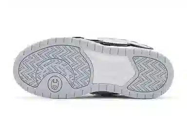 Champion TronSkateV1