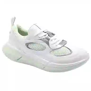 ecco BIOM2.2