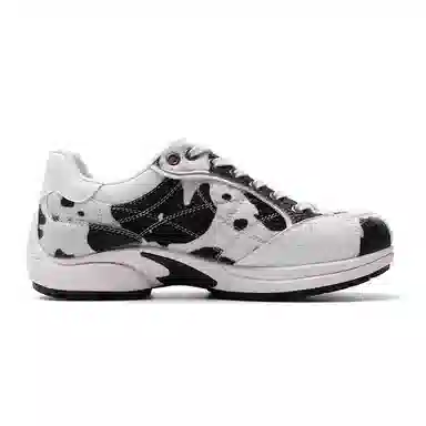 Mule Donkey Mule Donkey