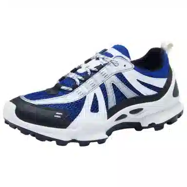 Ecco Biom C Trail