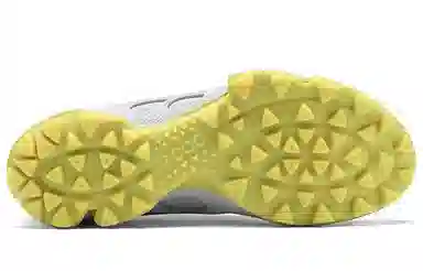 Ecco Biom C Yellow Grey