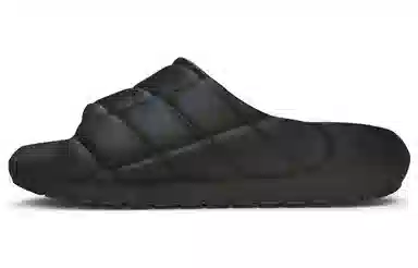 Reemoor Pineapple Platform Slides