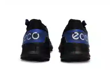 Ecco BIOM 2.1 X COUNTRY