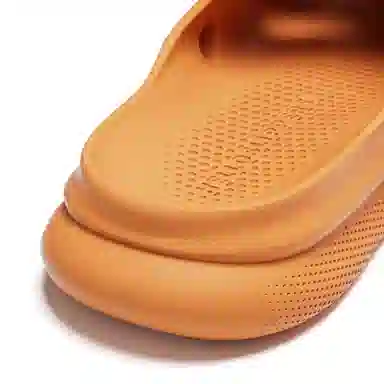 HelloSlippers T-Rex Fossil