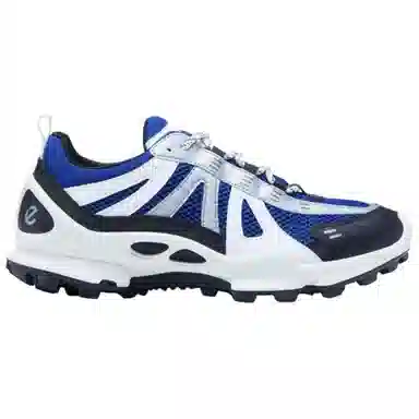Ecco Biom C Trail