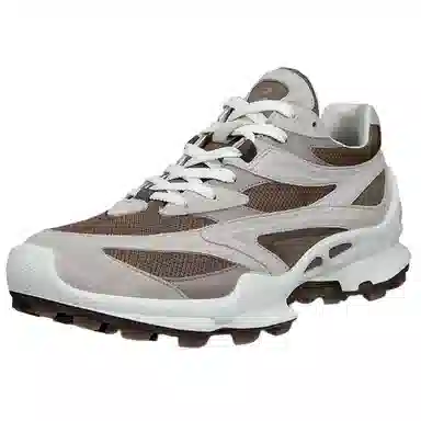 ecco Biom C Trail