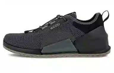 Ecco Biom 2.0