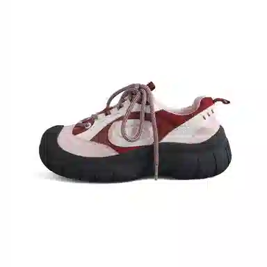 DOLIN COLLECTION -X2025 ins