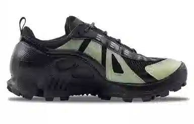 ecco Biom C Trail