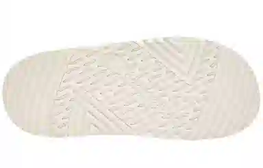 Champion Campus Slide 1919 C-Logo