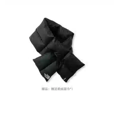 THE NORTH FACE ICON FW25 96 Nuptse logo700