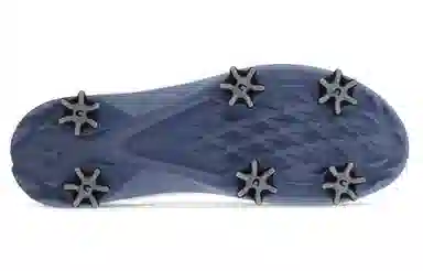 Ecco Golf Biom G5 White Grey