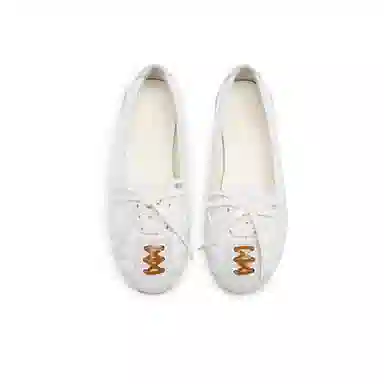 Lost in Echo Ballet Flats